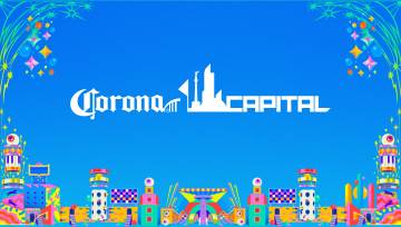 Title of article image