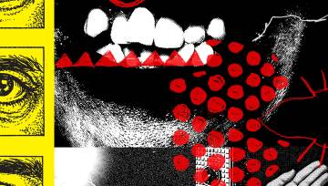 Title of article image