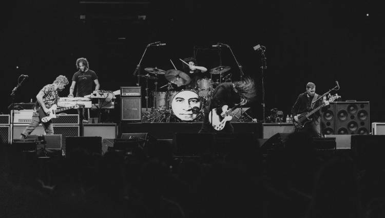 Title of article image